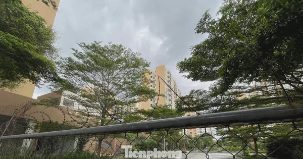 Thời điểm đưa 3.790 căn hộ tái định cư Thủ Thiêm ra đấu giá