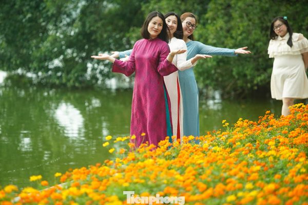 Thời tiết miền Bắc những ngày tới
