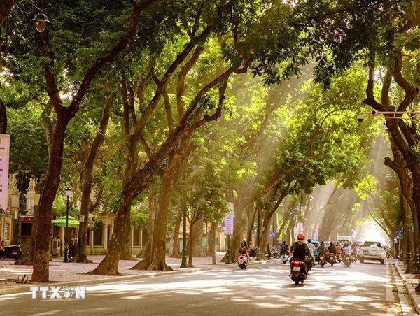 Thời tiết ngày 23/10: Nhiều khu vực ngày nắng đẹp, chiều tối và đêm có mưa rào
