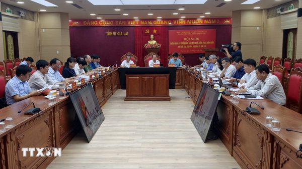 Thông qua Dự thảo báo cáo kết quả kiểm tra, giám sát đối với Ban Thường vụ Tỉnh ủy Gia Lai