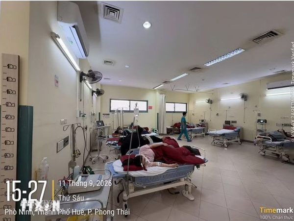 Thông tin mới nhất về các vụ ngộ độc thực phẩm tại Huế, Quảng Trị