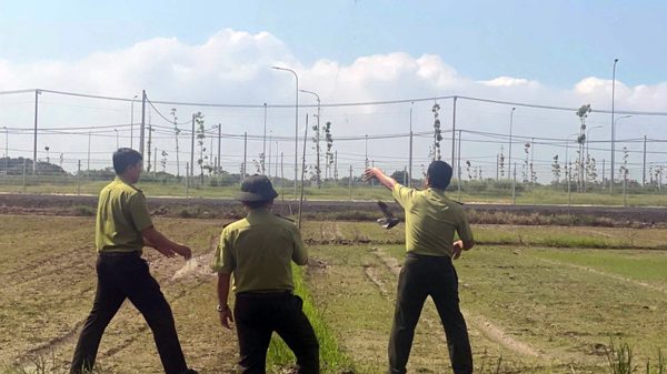 Thu giữ hàng trăm mét lưới bẫy bắt chim hoang dã