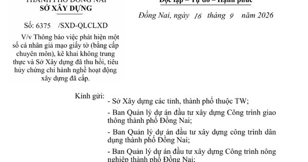 Thu hồi chứng chỉ hành nghề của 4 cá nhân do sử dụng bằng đại học giả