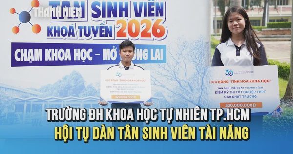 Thủ khoa ĐGNL 1.139 điểm, á khoa A00 29,75 điểm: Giữ nhịp học