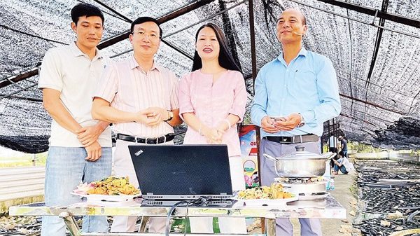 Thu ngân sách đạt kết quả khả quan