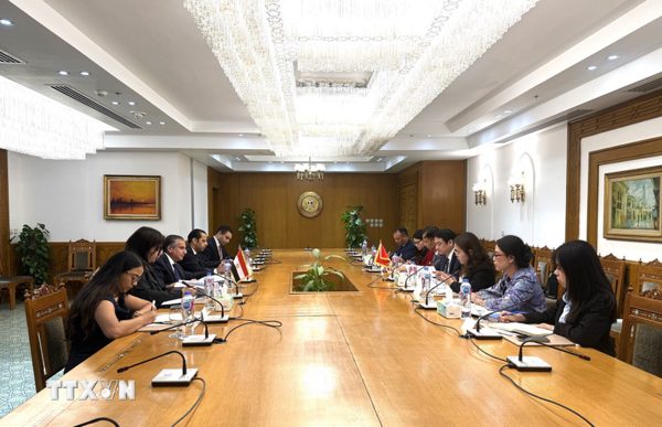 Thứ trưởng Bộ Ngoại giao Lê Anh Tuấn thăm và làm việc tại Ai Cập