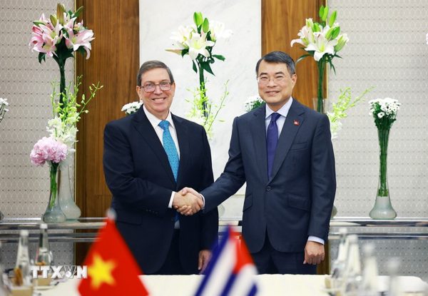 Thủ tướng Chính phủ Lê Minh Hưng tiếp Bộ trưởng Ngoại giao Cuba