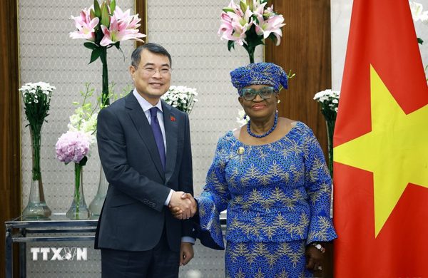 Thủ tướng Chính phủ Lê Minh Hưng tiếp Tổng Giám đốc WTO