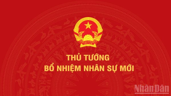 Thủ tướng điều động, bổ nhiệm nhân sự 4 bộ, cơ quan