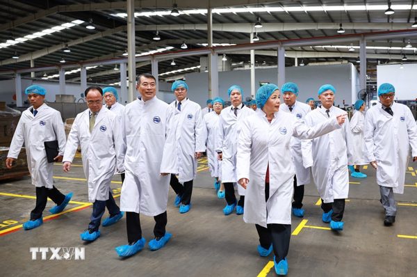 Thủ tướng Lê Minh Hưng thăm dự án Angkormilk của Vinamilk tại Campuchia