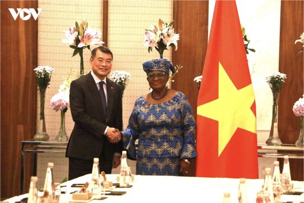 Thủ tướng Lê Minh Hưng tiếp Tổng giám đốc Tổ chức Thương mại Thế giới