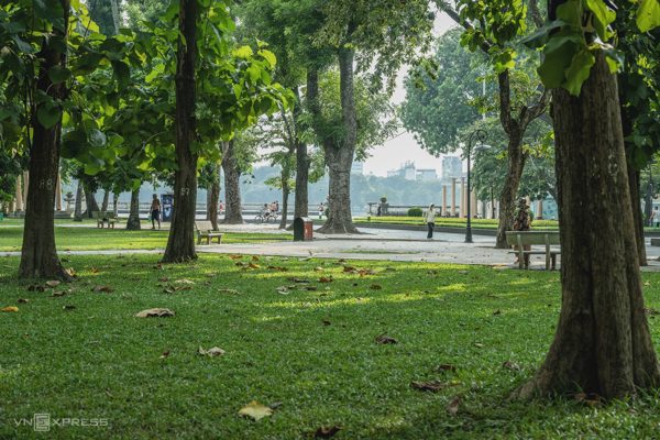 Thu vàng trong 'lá phổi xanh của Hà Nội'