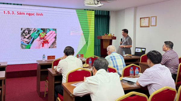 Thúc đẩy các giải pháp phát triển dược liệu tại Việt Nam