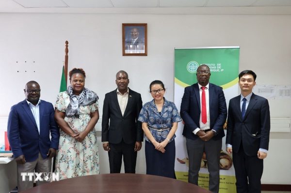 Thúc đẩy hợp tác nông nghiệp, thương mại Việt Nam-Mozambique