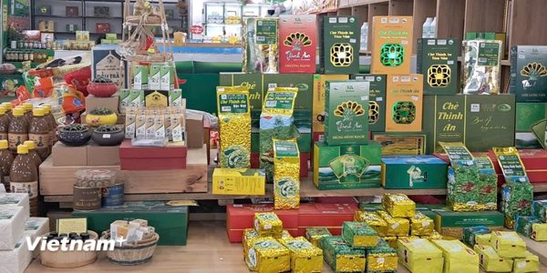 Thúc đẩy thực hiện EPR: Hoàn thiện cơ chế, chính sách hỗ trợ tái chế bao bì