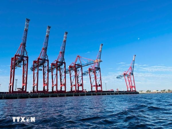 Thúc đẩy xuất khẩu càphê Việt Nam sang Đức và kết nối logistics tại cảng Hamburg