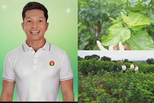 Thức giấc với mùa vàng 2026: Từ câu hỏi của nhà nông đến giải pháp canh tác