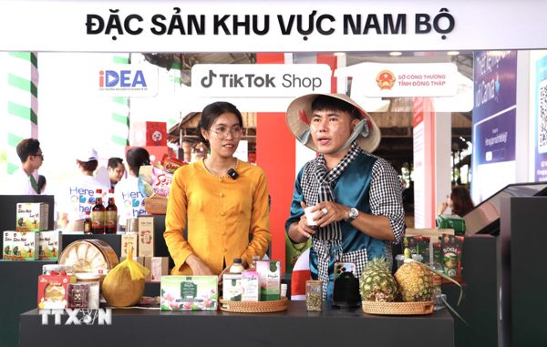 Thương mại điện tử xuyên biên giới: Cơ hội mới để hàng Việt “cất cánh”