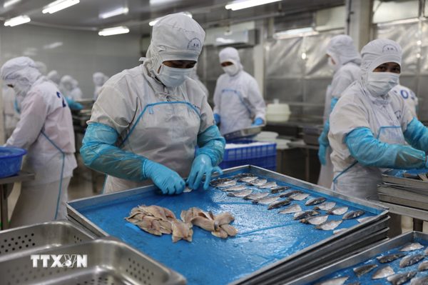 Thủy sản trước sức ép tăng trưởng và cạnh tranh bền vững