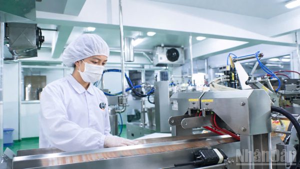 Tích cực triển khai dự án Luật sửa đổi, bổ sung Luật Bảo hiểm xã hội