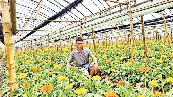 Tiên phong ứng dụng công nghệ trồng hoa