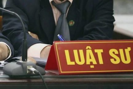 Tiến sĩ không có bằng cử nhân luật được làm luật sư, ĐBQH "không yên tâm"