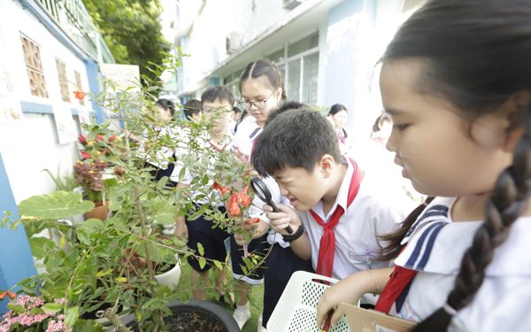 Tiết học ở vườn trường có gì thú vị khi kết hợp với AI?