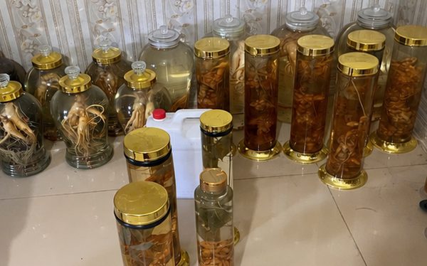 Tìm bị hại vụ án lừa dối khách hàng liên quan đến bán sâm Ngọc Linh