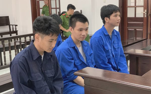 Tìm đến cỏ Mỹ vì mất ngủ, thanh thiếu niên trả giá bằng 4 năm 6 tháng tù