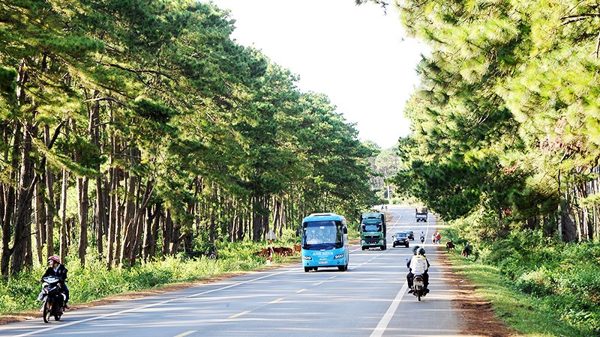 Tìm động lực tài chính mới cho ngành lâm nghiệp