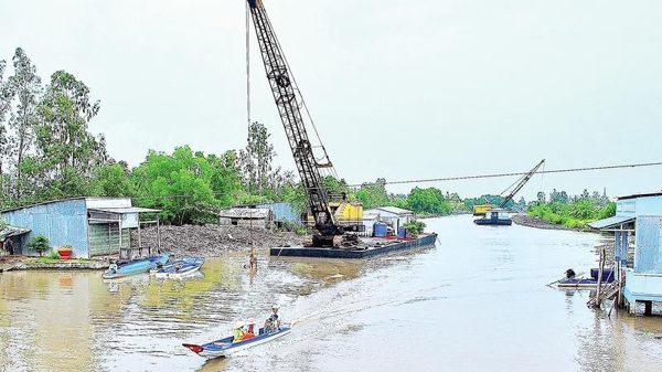 Tìm giải pháp bền vững cho vùng ven biển Cà Mau