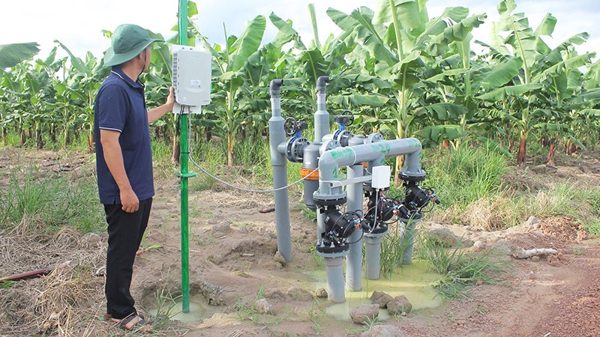 Tìm giải pháp thúc đẩy thương mại hóa, thu hút đầu tư vào nông nghiệp công nghệ cao
