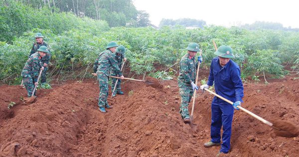 Tìm kiếm hài cốt 11 liệt sĩ đặc công tại khu vực Dốc Miếu ở Quảng Trị