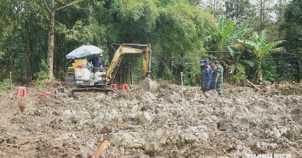 Tìm thấy 71 hài cốt liệt sĩ trong vườn sầu riêng ở Đồng Tháp