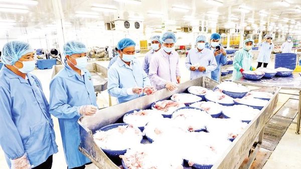 Tín hiệu khởi sắc về tăng trưởng kinh tế