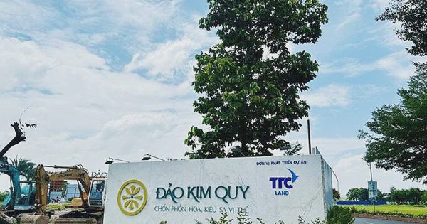 Tín Nghĩa (TID) rao bán 51% vốn chủ đầu tư dự án Đảo Kim Quy, giá khởi điểm hơn 1.000 tỷ đồng