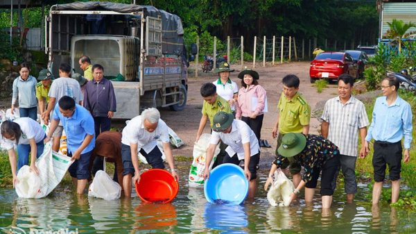 Tin tức