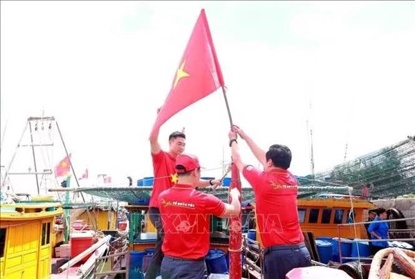 Tin tức