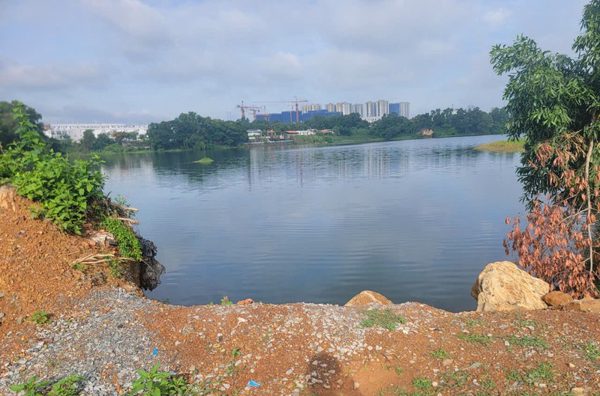 Tin tức