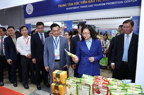 Tin tức