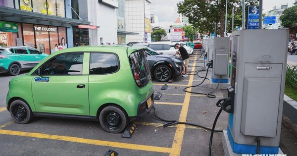 Tin tức đặc biệt trên báo in Thanh Niên 7.10.2026