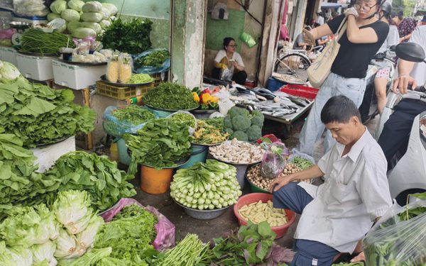 Tin tức sáng 7-9: Khó mua bông cải Đà Lạt