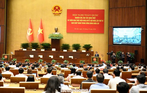 Tổ chức giám sát người đứng đầu về tình trạng né tránh, không quyết định