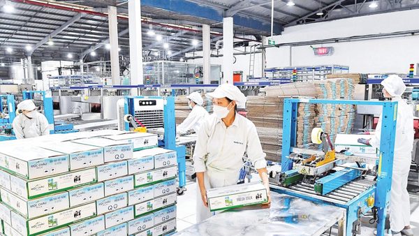 Tổ chức lại chuỗi sản xuất
