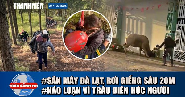 Toàn cảnh 17h: Cứu nữ du khách đi săn mây, rơi giếng sâu 20m | Lý do trâu điên húc người, xông vào rạp cưới