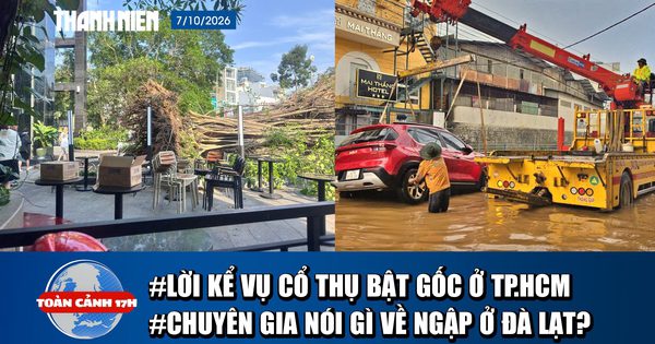 Toàn cảnh 17h: Lời kể lúc tháo chạy khi cây 20m đổ sập ở TP.HCM | Vì sao Đà Lạt mưa lớn ngập nhanh, rút nhanh?