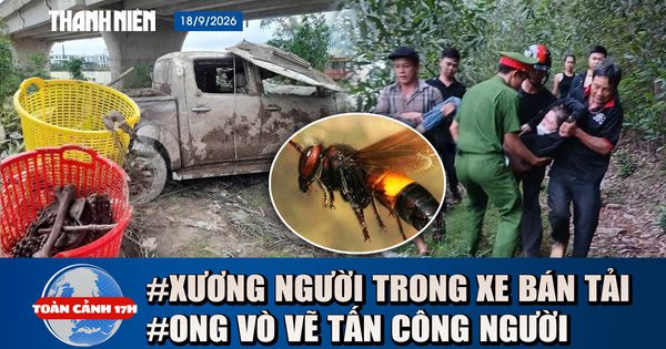 Toàn cảnh 17h: Phát hiện xương người trong xe bán tải dưới sông | Ong vò vẽ tấn công khi đi hái nấm