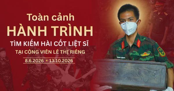 Toàn cảnh hành trình tìm kiếm 731 hài cốt liệt sĩ tại công viên Lê Thị Riêng