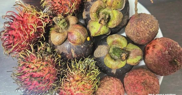 Tối chỉ ăn trái cây để giảm cân, bác sĩ cảnh báo điều này