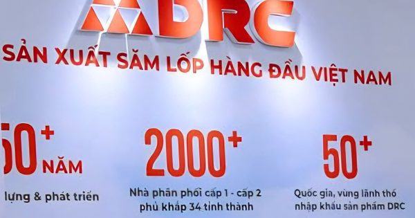 Tổng giám đốc Công ty cổ phần cao su Đà Nẵng bị khởi tố